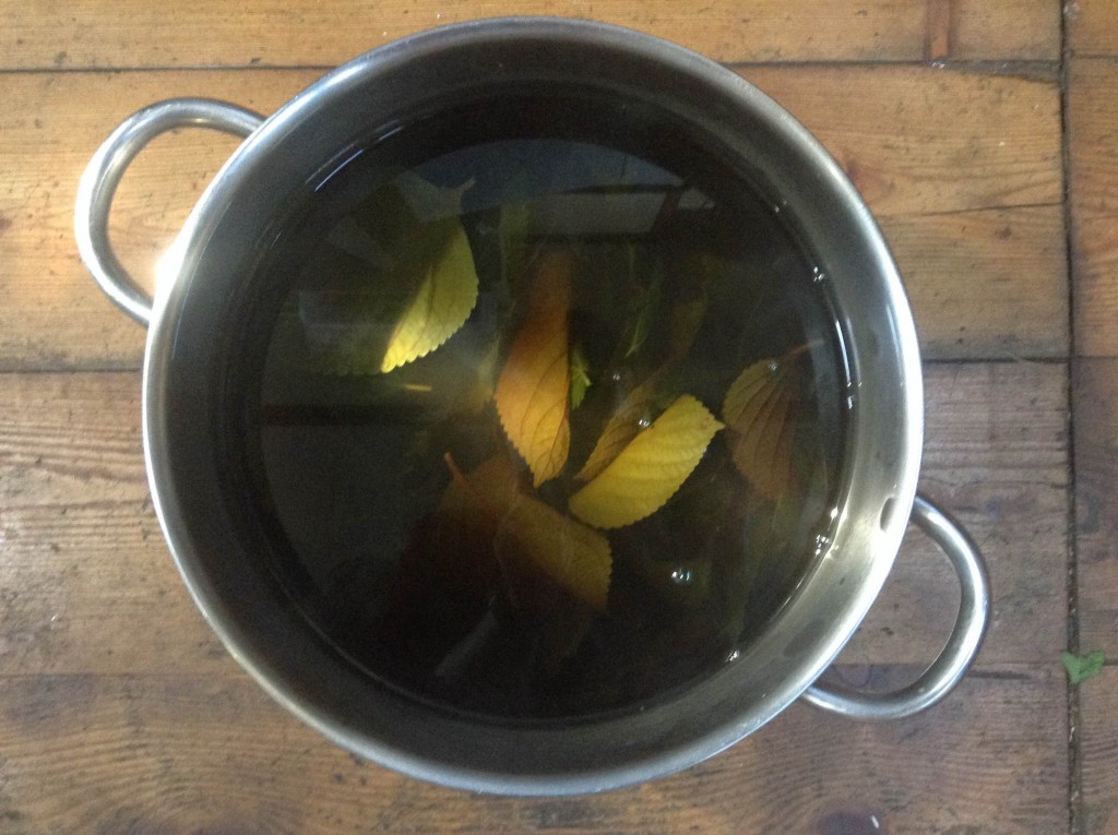 Nettle tea