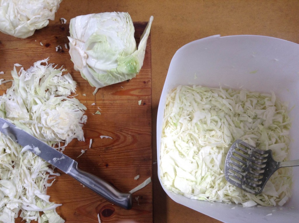 Sauerkraut in progress